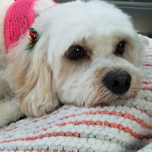 Meet your Posher, Hank